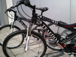 pesho-15